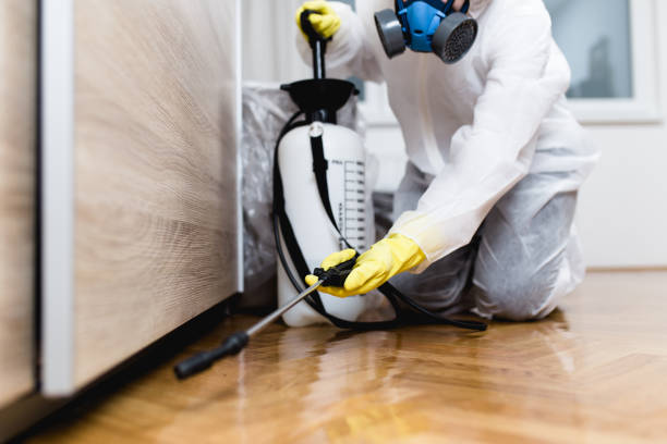 Best Residential Pest Control  in Clear Lake, WI