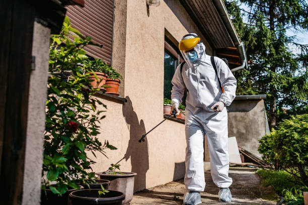 Best Termite Control Services  in Clear Lake, WI