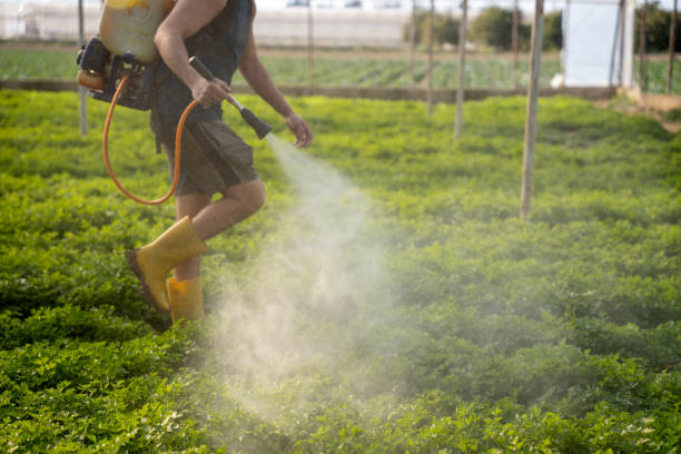 Best Pest Inspection Near Me  in Clear Lake, WI