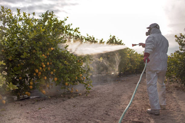 Best Emergency Pest Control  in Clear Lake, WI