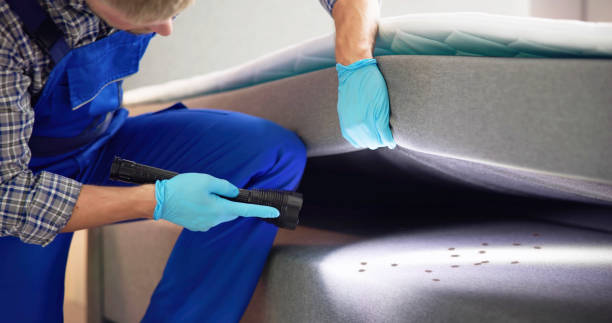 Best Ant Control Services  in Clear Lake, WI
