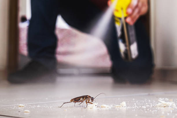 Best Cockroach Control Services  in Clear Lake, WI