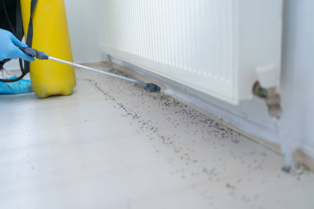 Best Pest Control Cost  in Clear Lake, WI