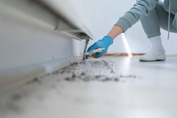 Best Commercial Pest Control Services  in Clear Lake, WI